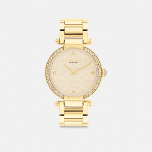 Coach Cary 34 Mm Horloge Dames Goud | NL_CH34009