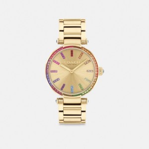 Coach Cary 34 Mm Horloge Dames Goud | NL_CH40908