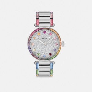 Coach Cary 34 Mm Stainless Steel Horloge Dames Grijs | NL_CH43589