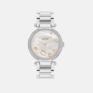 Coach Cary 34 Mm Stainless Steel Horloge Dames Grijs | NL_CH17022