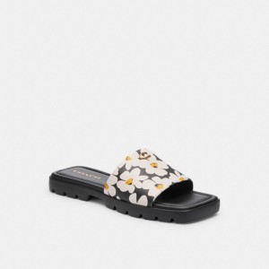 Coach Florence With Floral Print Chalk Sandalen Dames Gekleurd | NL_CH83065