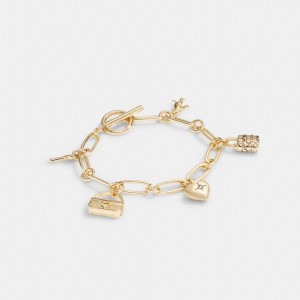 Coach Iconic Charm Chain Armbanden Dames Goud | NL_CH76204