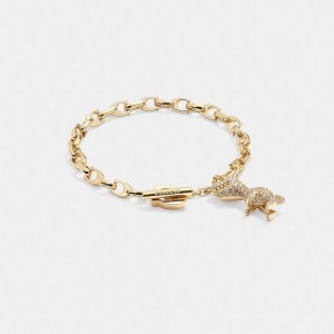 Coach Pavé Rexy Signature Chain Armbanden Dames Goud | NL_CH60019