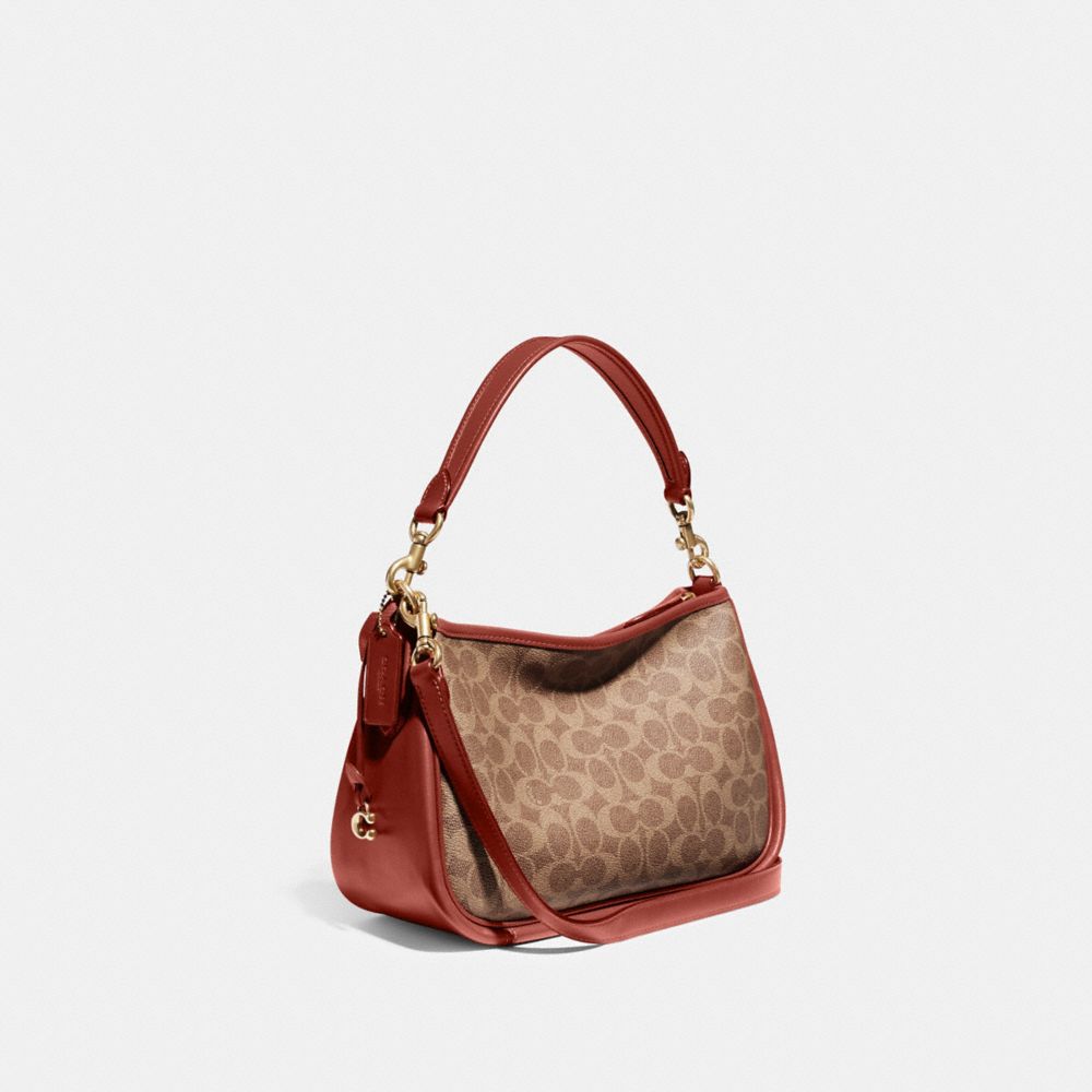 Coach Cary In Signature Crossbodytassen Dames Bruin Rood | NL_CH10585