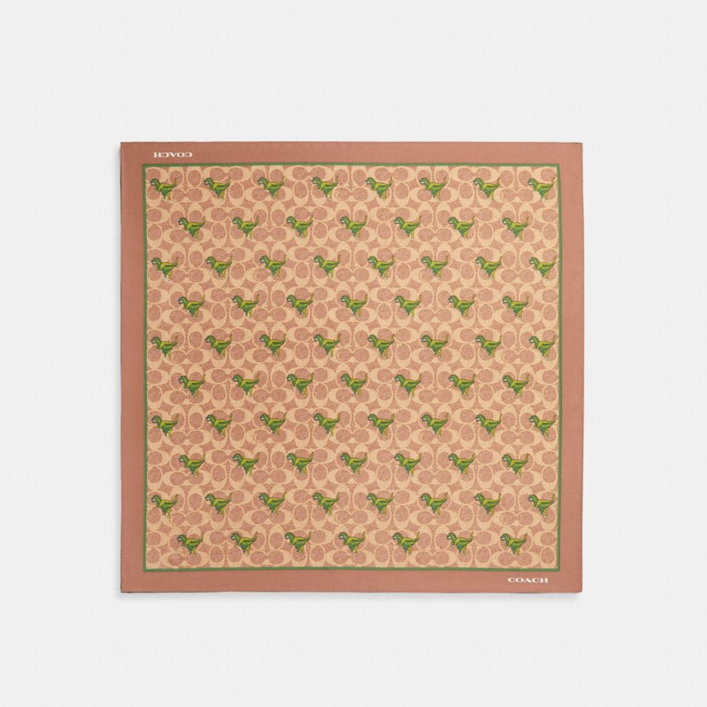 Coach Rexy Print Silk Bandana Hoeden Dames Khaki | NL_CH94103